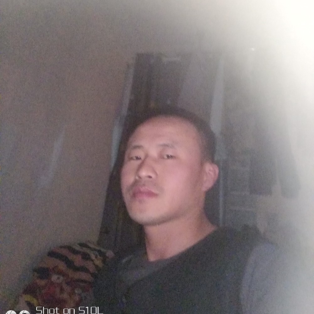 海燕漫步朴素的照片