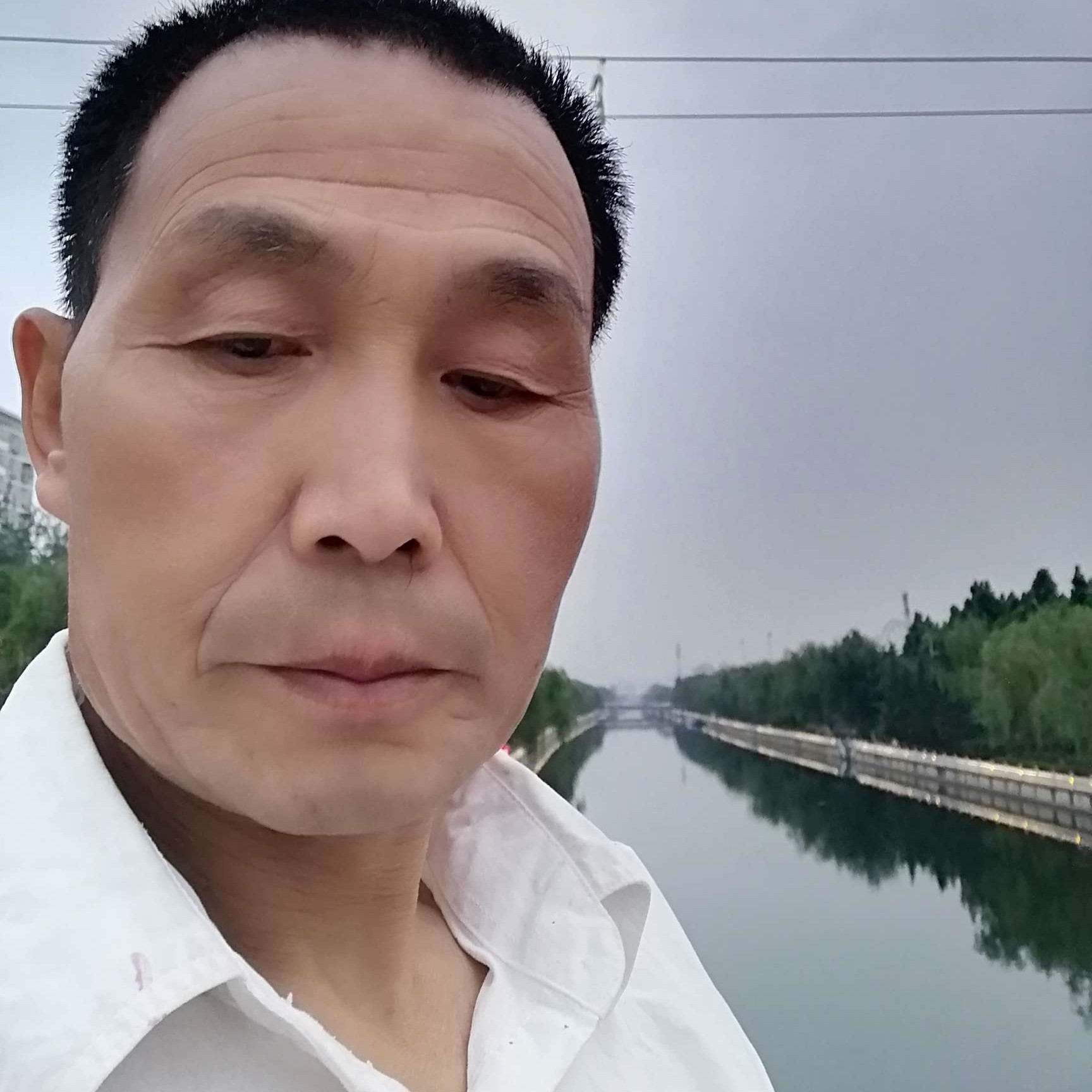 闪闪保卫白猫的照片