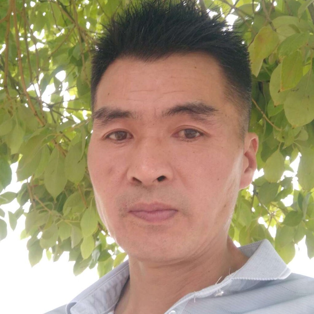 小鸽子笑忧心的照片