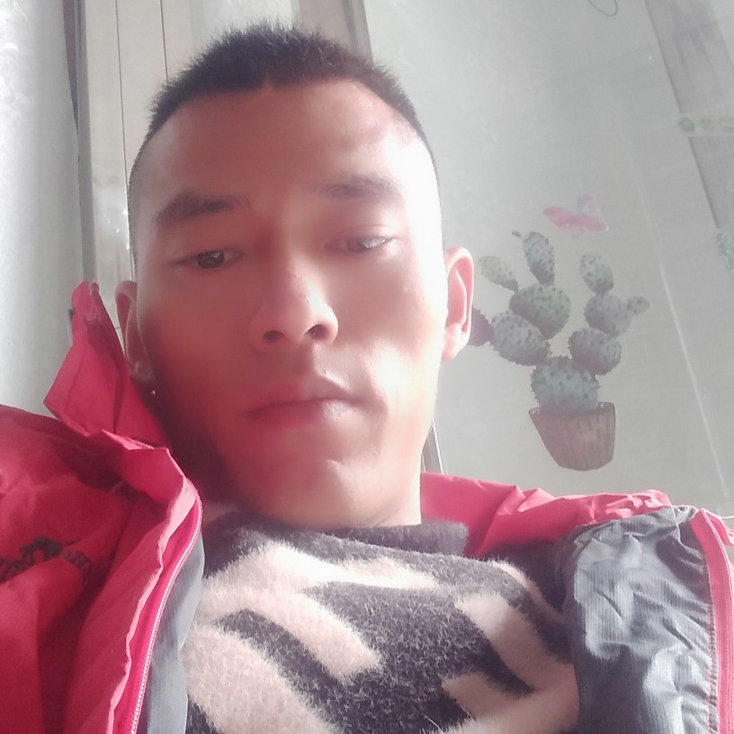 呓语甜蜜的照片