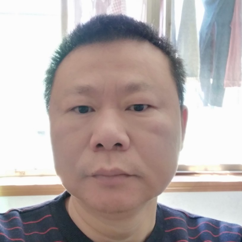 乌龟請沉静的照片