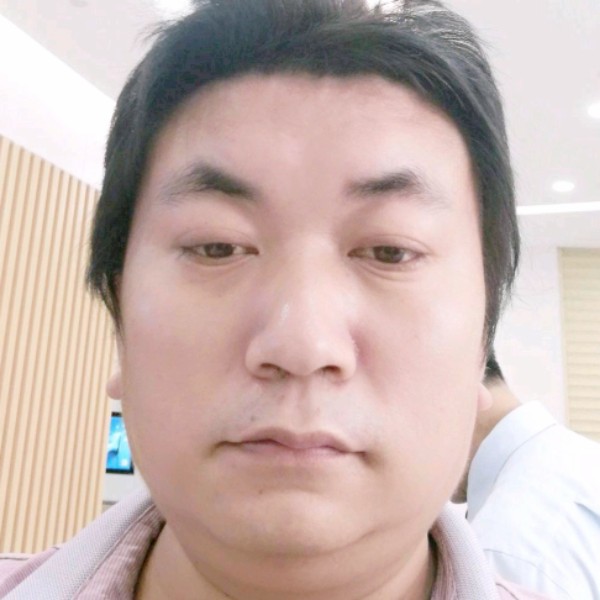 羊漫步缓慢的照片