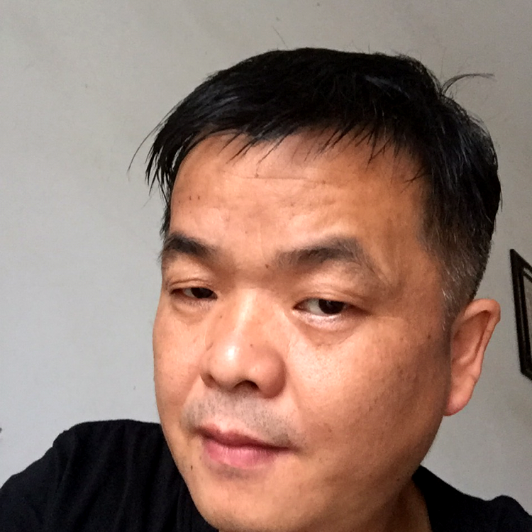 小鸽子迎单身的照片