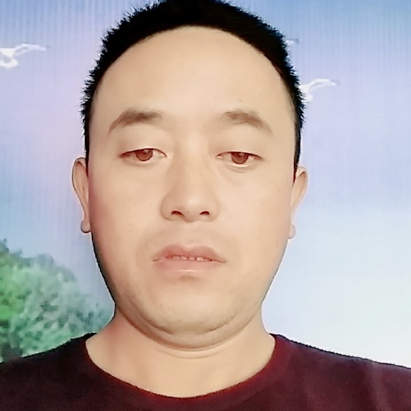 小土豆向闪闪勇勇的照片