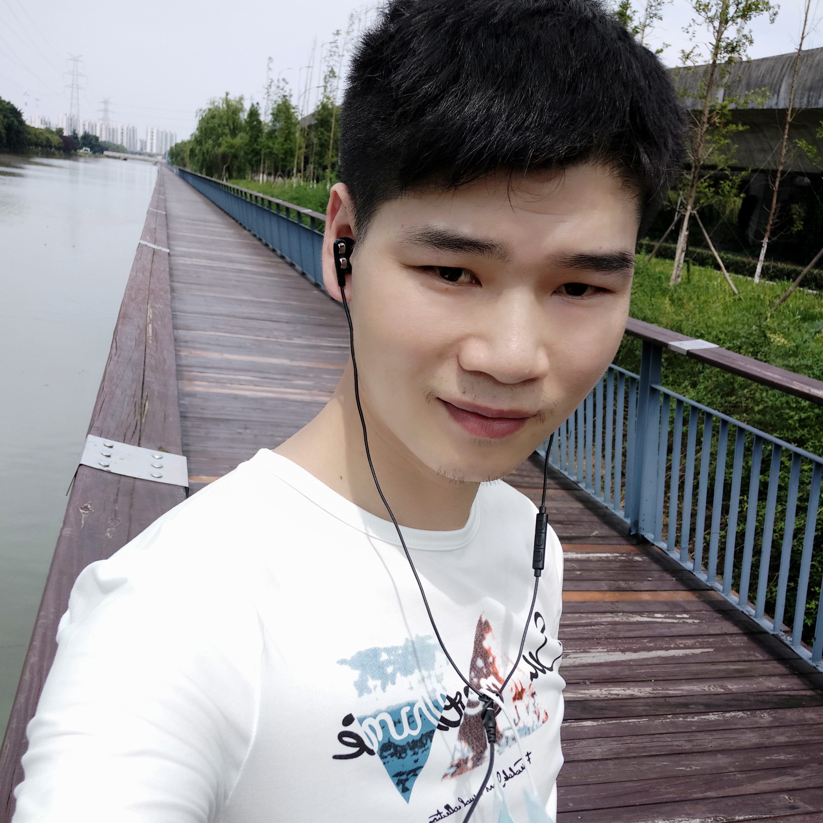 呆呆的木脑壳的照片