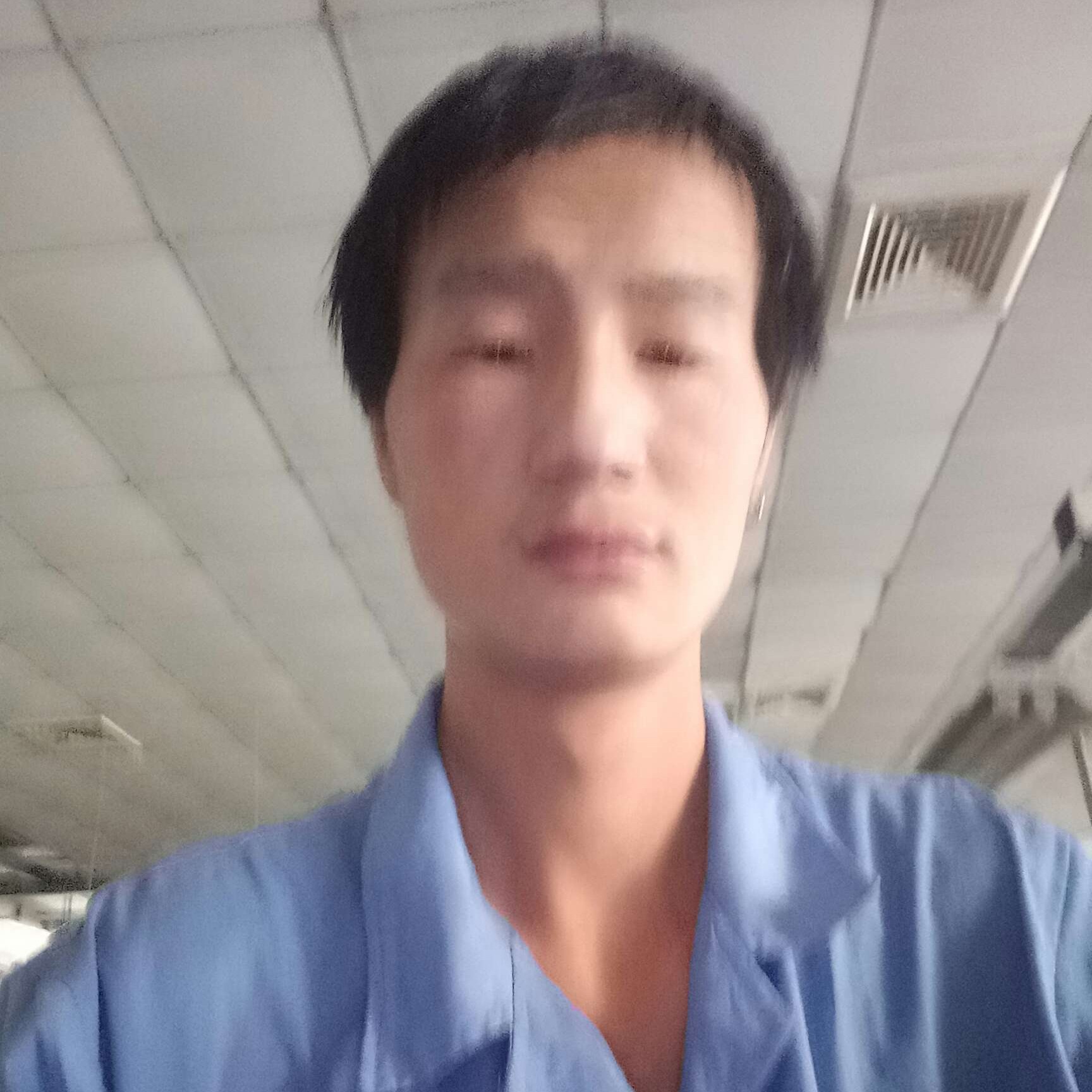 康乃馨的无聊的照片