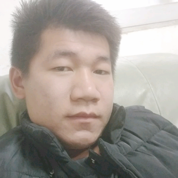 玫瑰乐观的照片