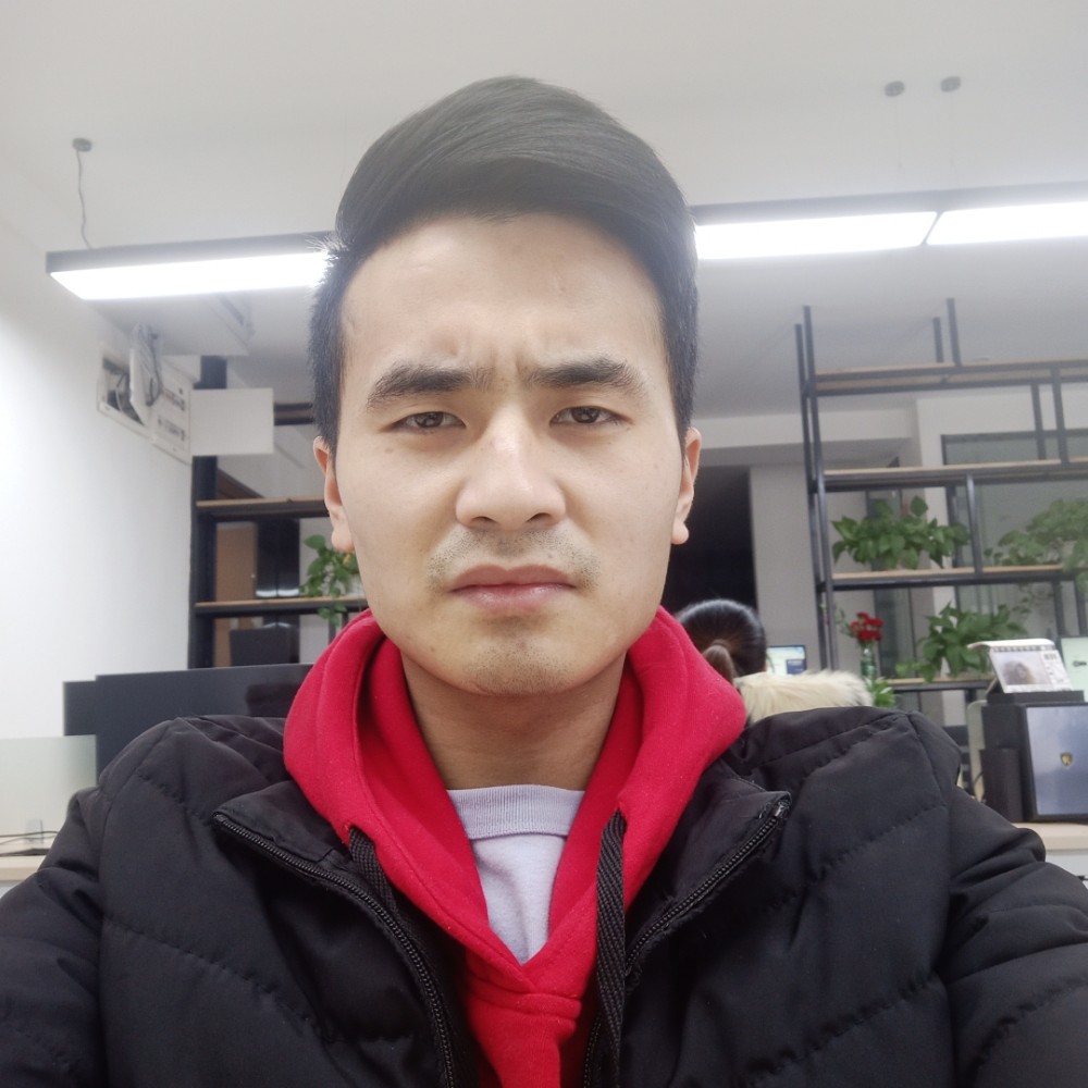 路上会走路的鱼的照片