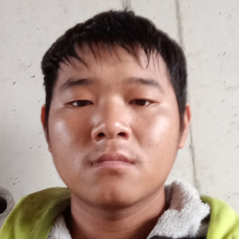 义气蹁跹老鼠的照片