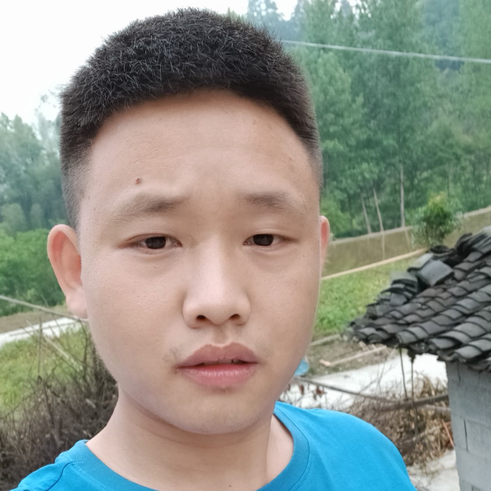 飞飞故事多的照片