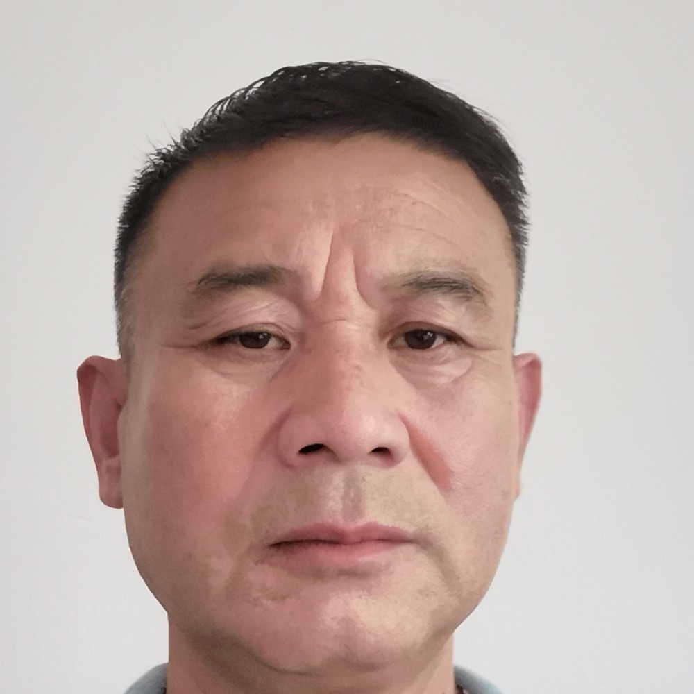 无可取代的爱迷路的照片