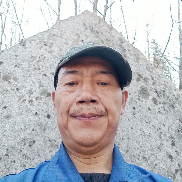 沙漠中的松子。的照片