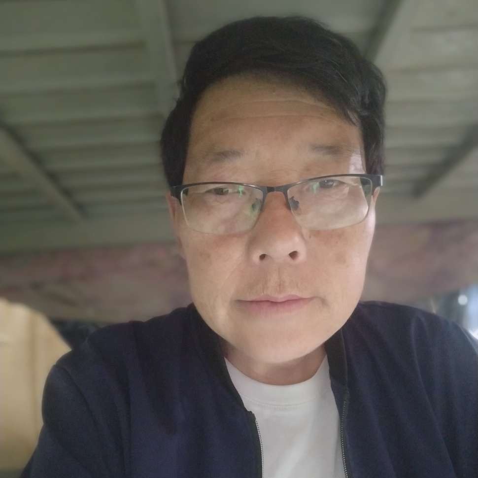 贪玩的大雁的照片