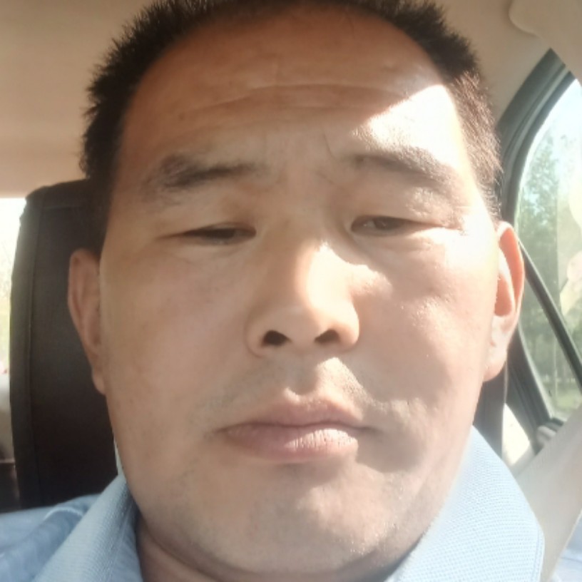 快乐的虎的照片