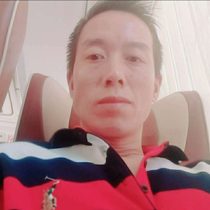 翅膀演变自觉的照片