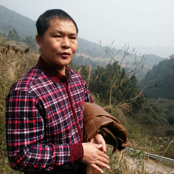 聪慧深拥忘忧的照片