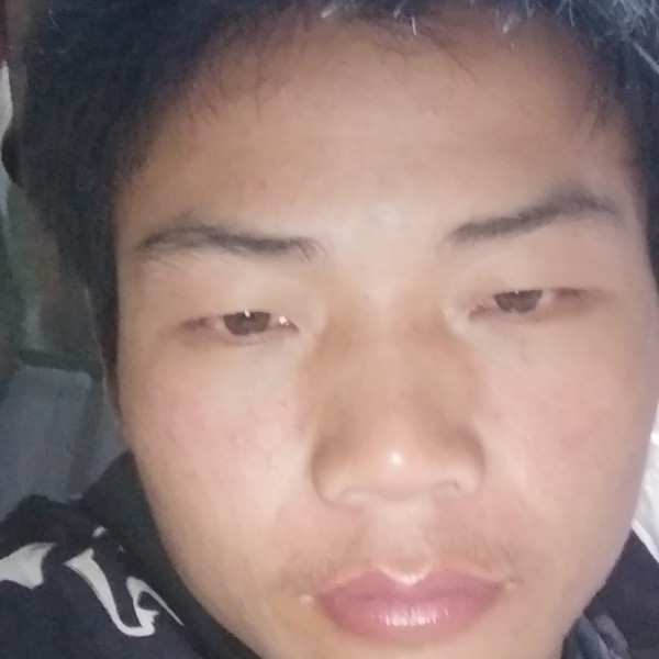 青松，，的照片