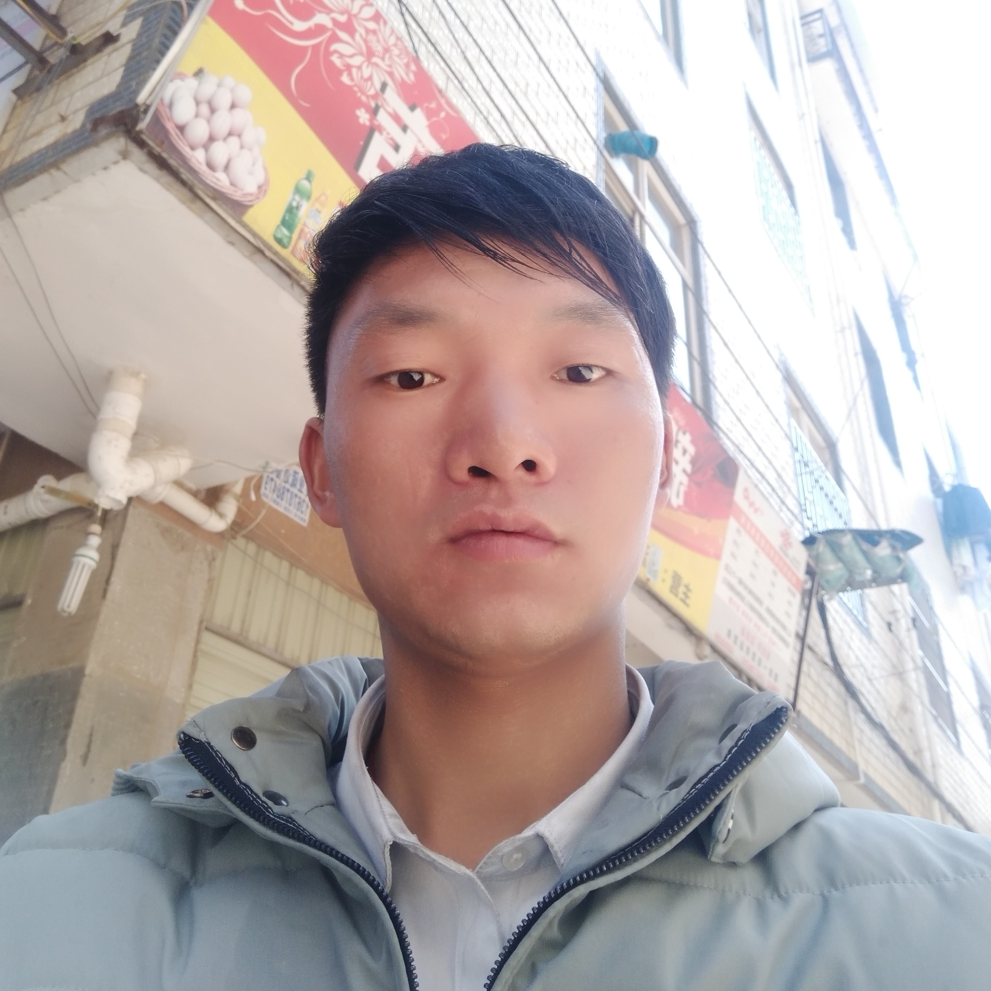 猫叼着水救火的照片