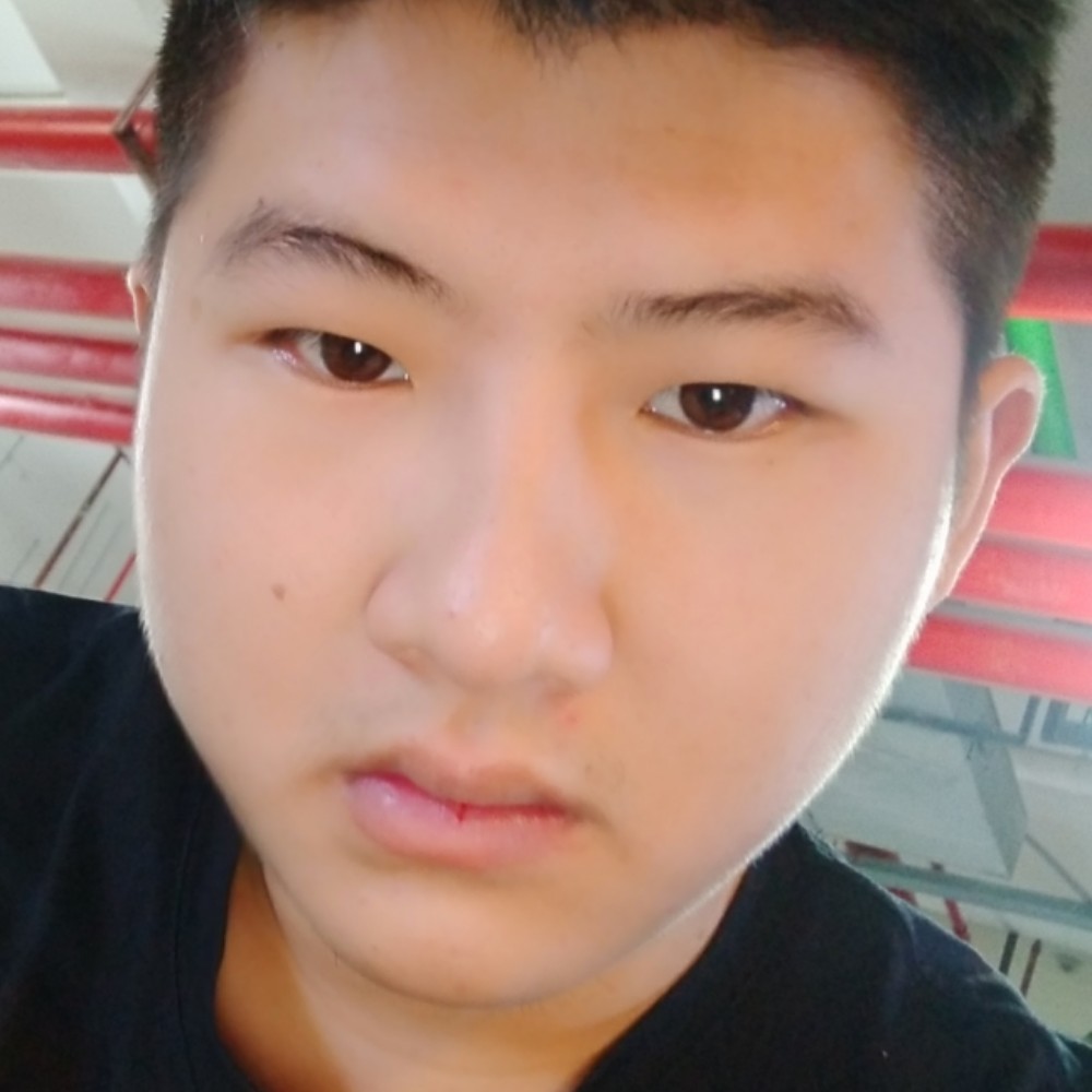 大炮放弃懵懂的照片