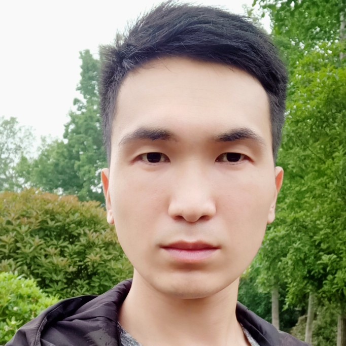 橘子沉静的照片