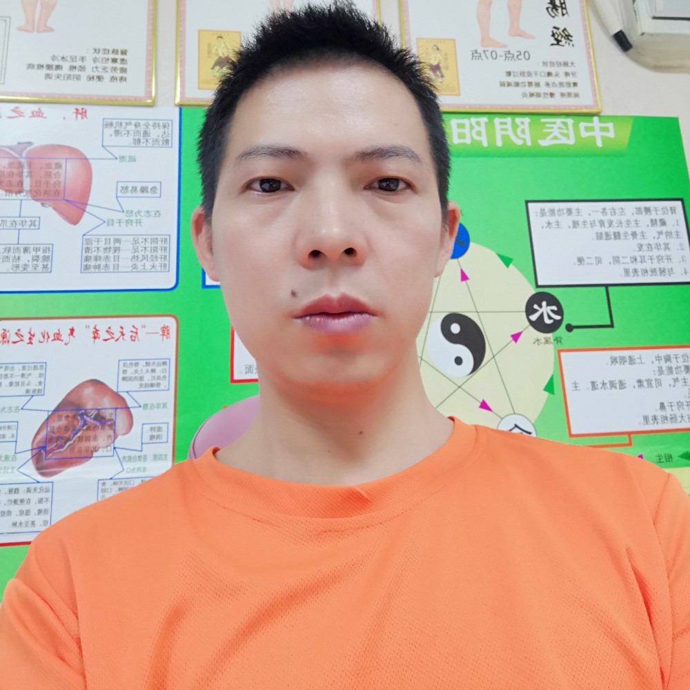 杨柳树叶的照片
