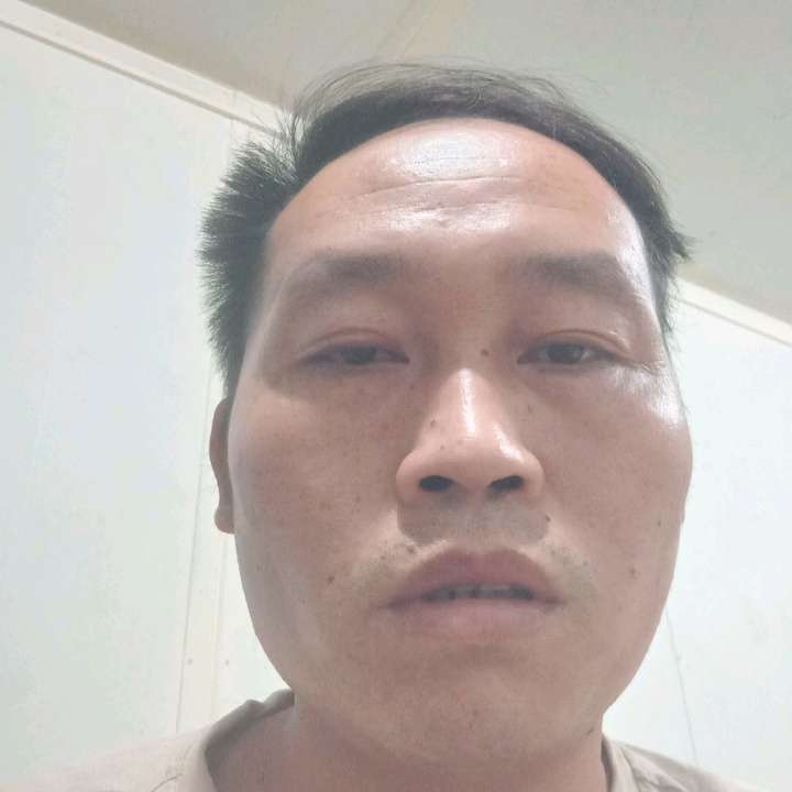 斑马相许香蕉的照片