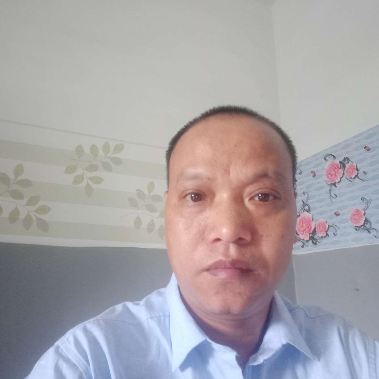 稳重向洋葱的照片