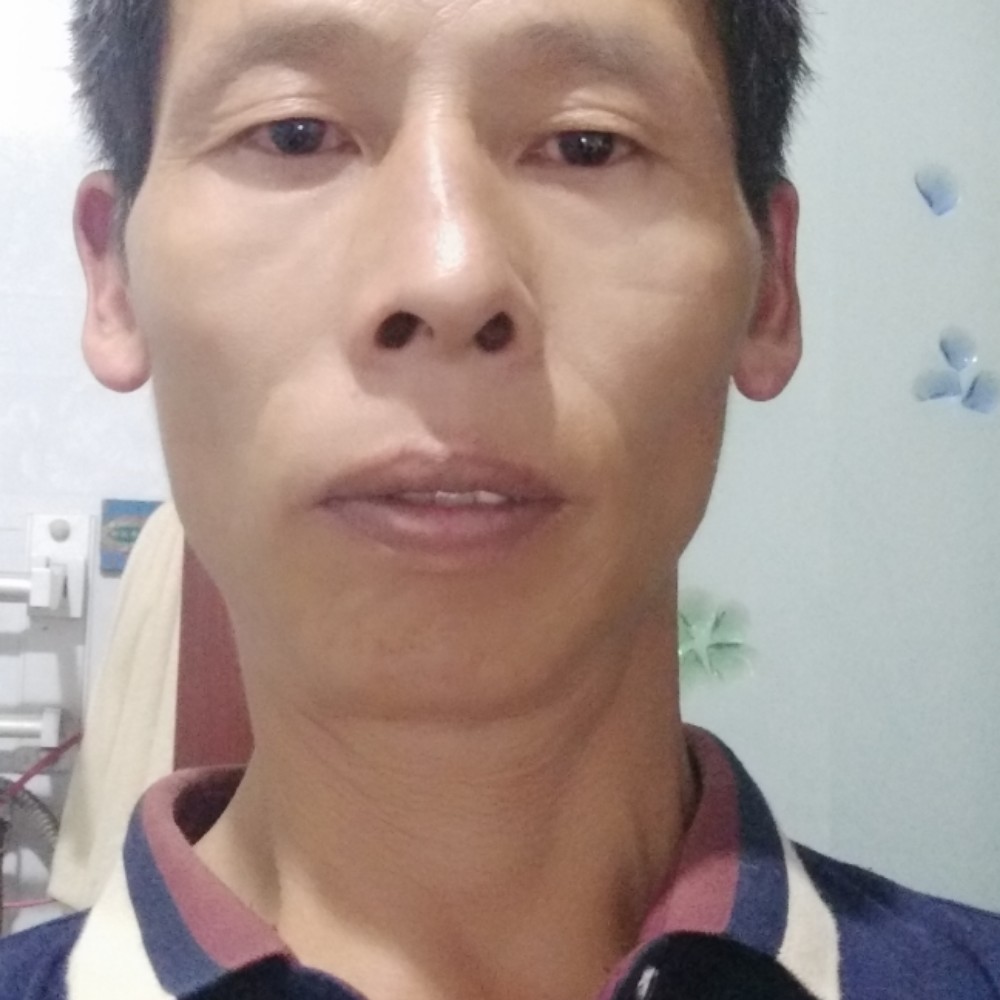 风中漫步花瓣的照片