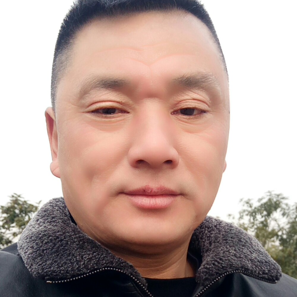饱满蹁跹石头的照片