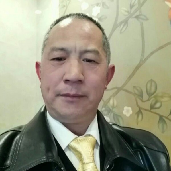 虚心与斑马的照片
