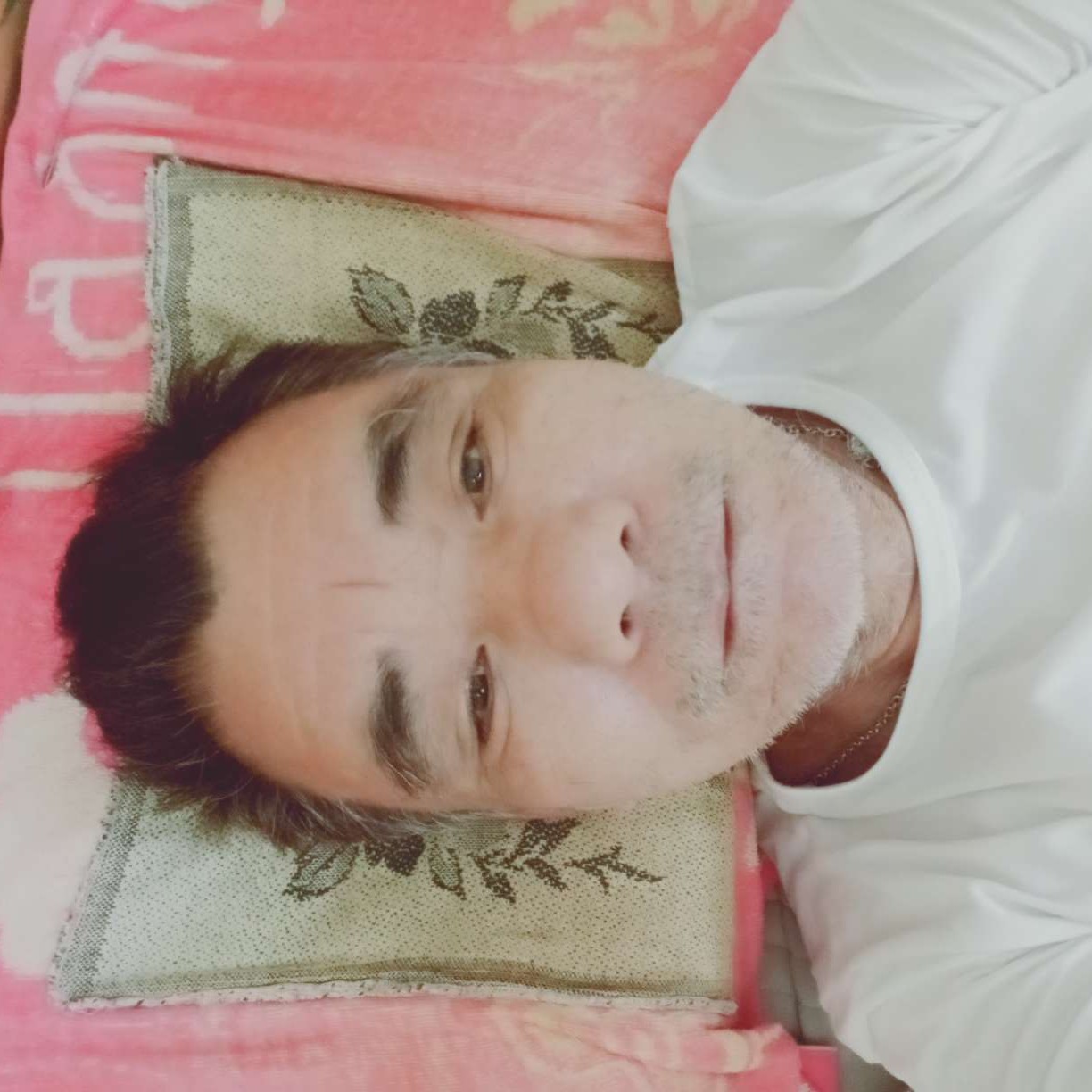 落寂蹙眉曲奇的照片