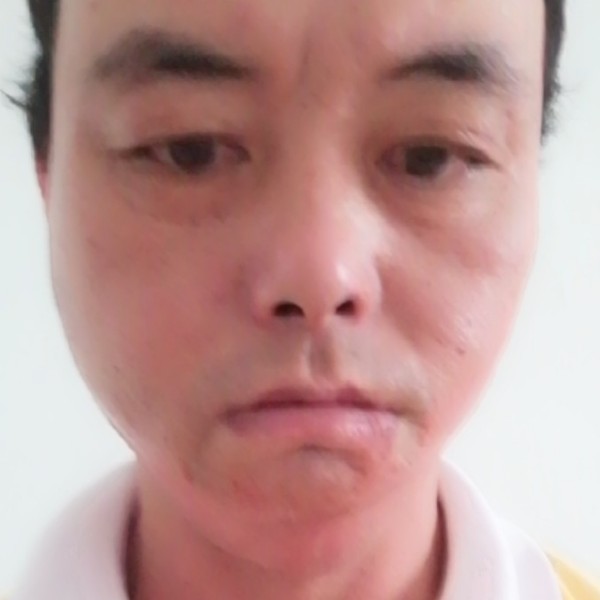 小蘑菇恬静的照片