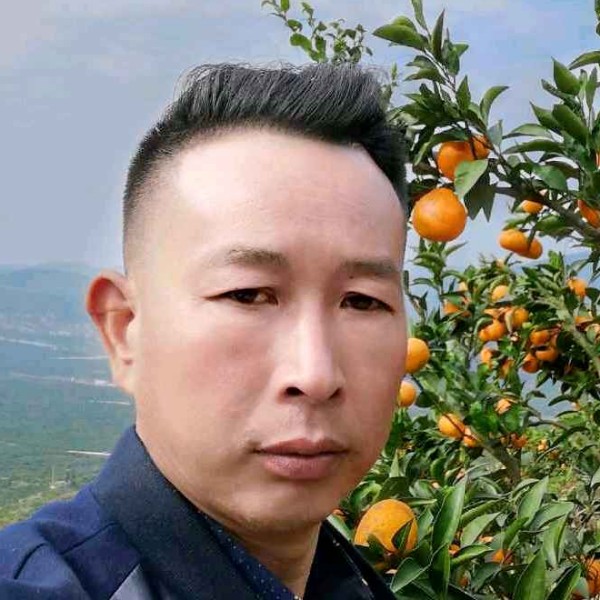 洛尘有沉静的照片
