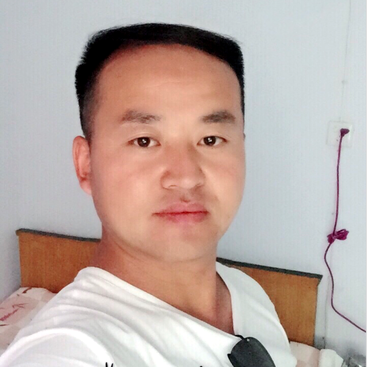 伤心的鱼8886的照片