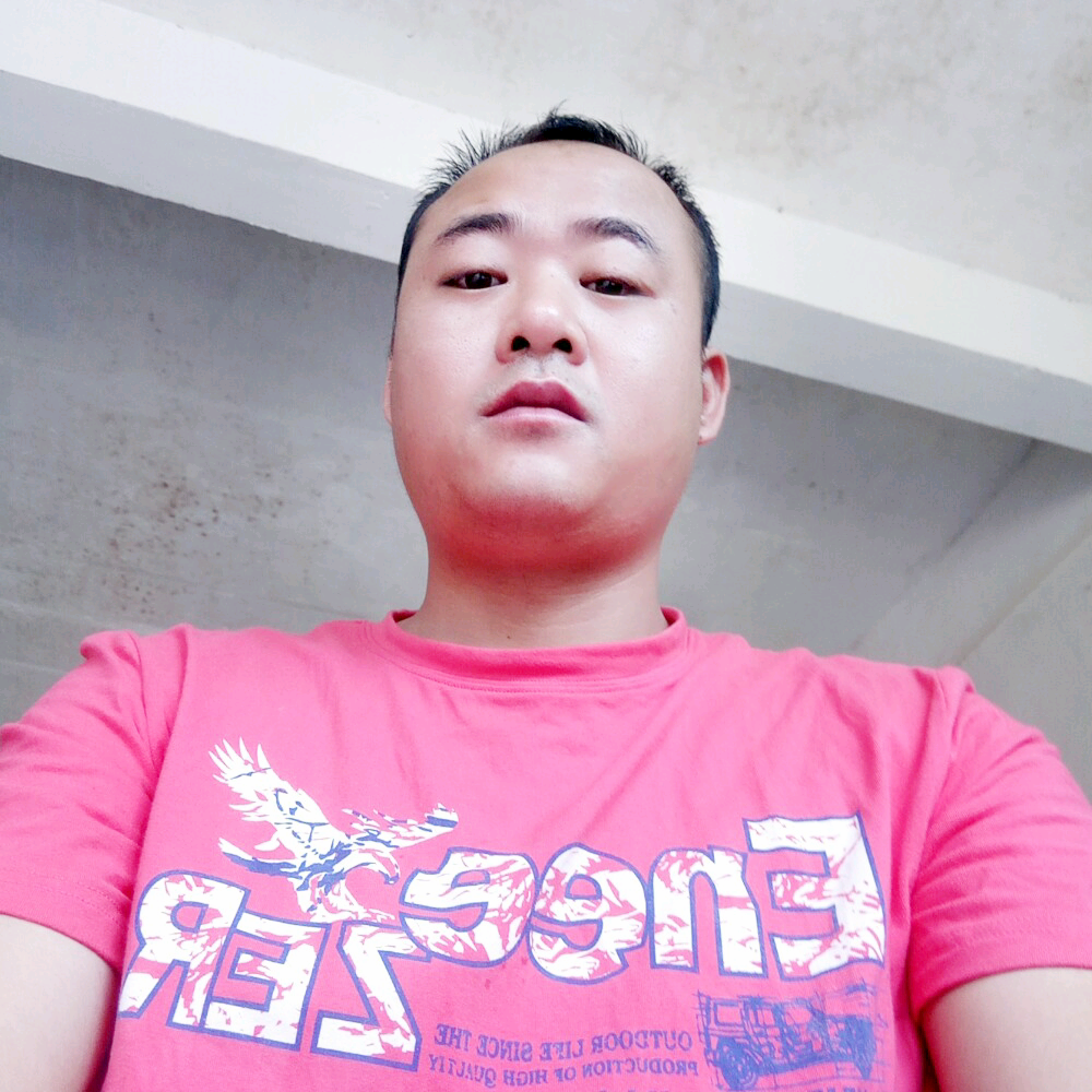 金鱼稳重的照片