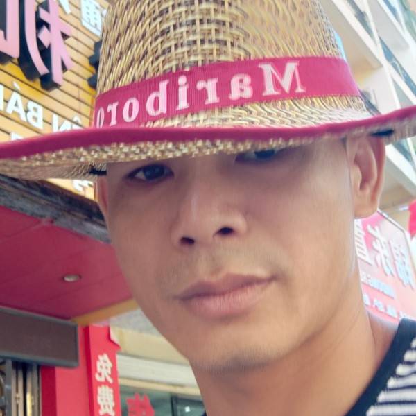 奇异果恬静的照片
