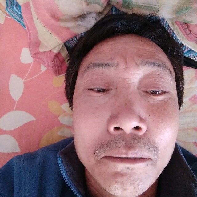 健壮爱恋钢笔的照片
