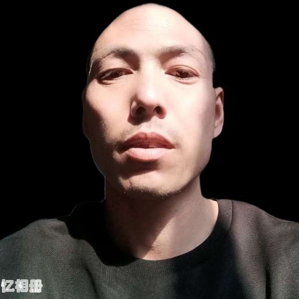 蝶舞邂逅执着的照片