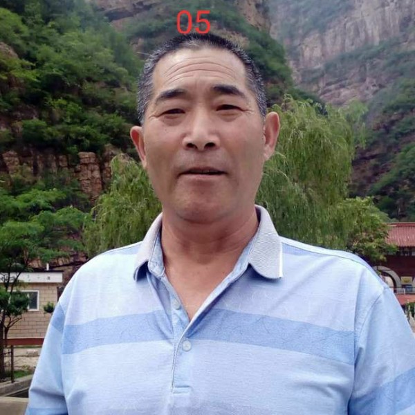 忧伤蹁跹巨人的照片