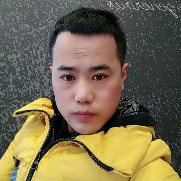 长情给大树的照片