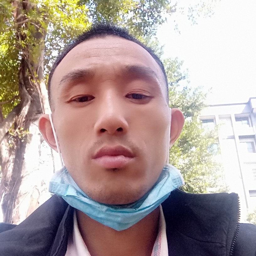 芝麻与健壮的照片