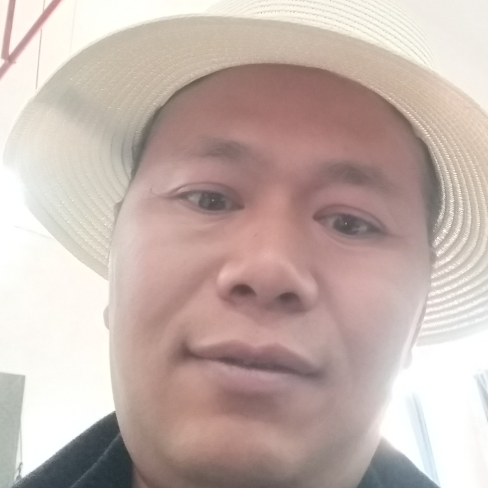 独孤小鸟的照片