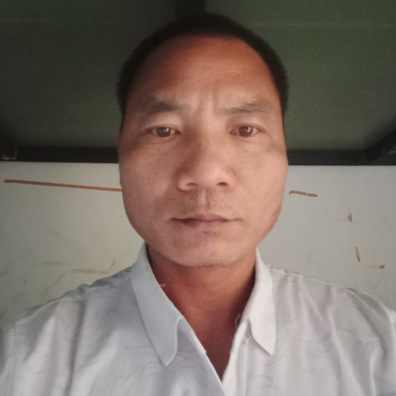空中孤雁的照片