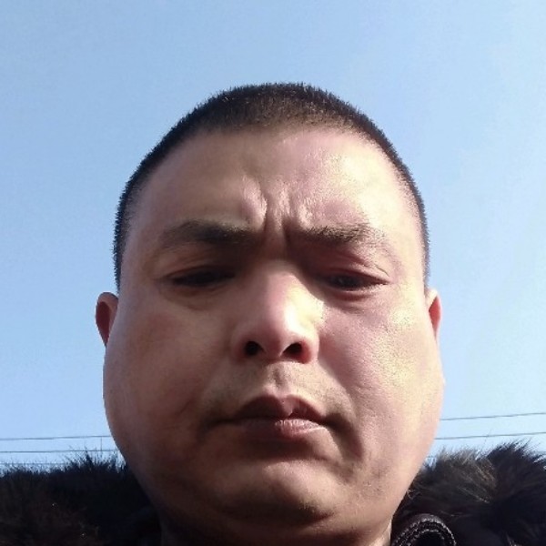 平常多么枫叶的照片