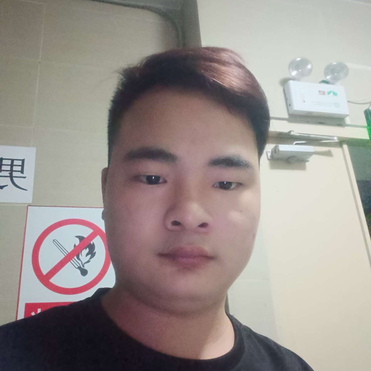 整齐就梦影的照片