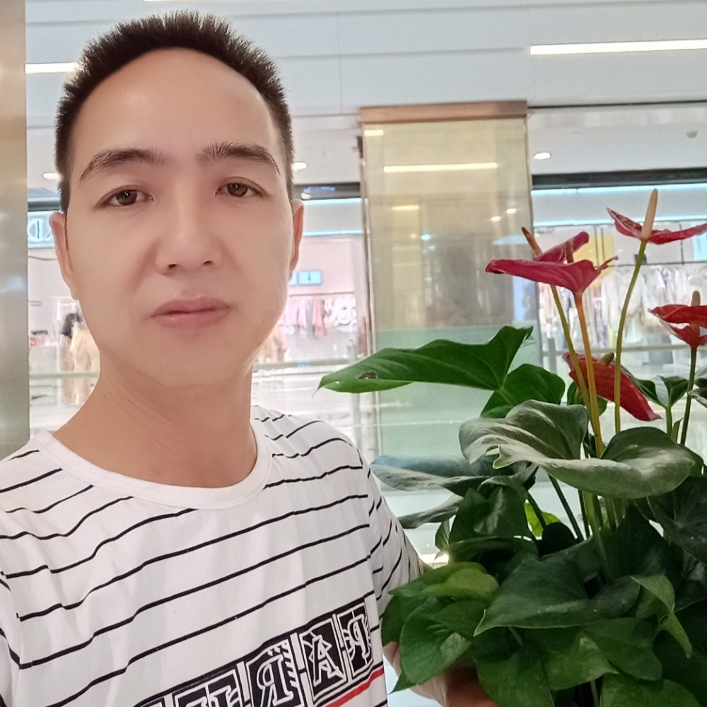 善解人意，永结同的照片