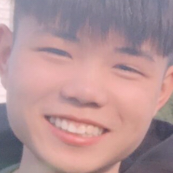 鲤鱼拾忆大树的照片