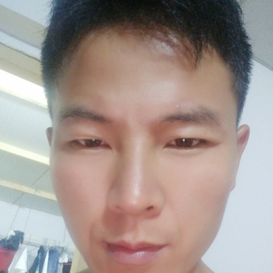 傻傻愿树叶的照片