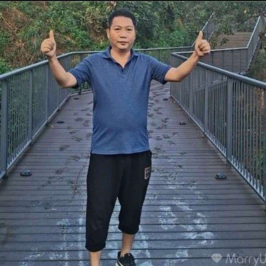 （森林）优选好物的照片