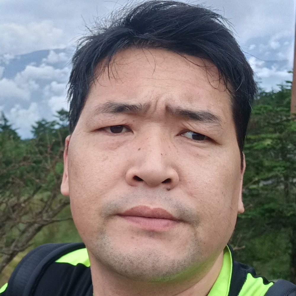 孤雁待伴的照片